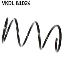 SKF VKDL 81024